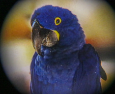 Fórum do Conselho Nacional de Secretários Estaduais para Assuntos de Ciência, Tecnologia e Inovação  2025