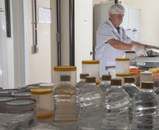 Alimentação escolar: controle rigoroso garante cardápios nutritivos e saudáveis no Paraná