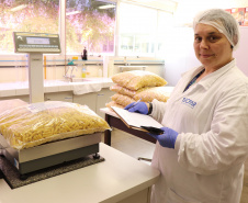 Alimentação escolar: controle rigoroso garante cardápios nutritivos e saudáveis no Paraná