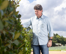 Paraná oferece programa pioneiro para validação de inventários de carbono