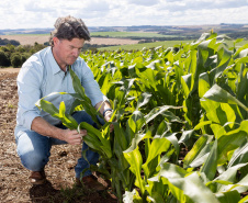 Paraná oferece programa pioneiro para validação de inventários de carbono