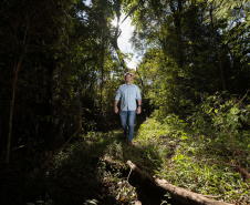 Paraná oferece programa pioneiro para validação de inventários de carbono