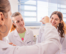 Paraná incentiva pesquisa com bolsas que cobrem trajetória acadêmica e profissional