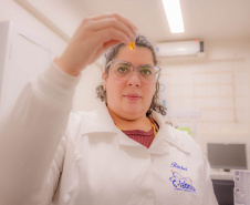 Paraná incentiva pesquisa com bolsas que cobrem trajetória acadêmica e profissional