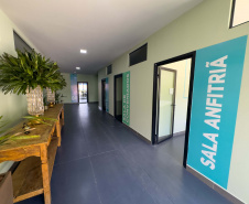 Parceria Paraná-Coreia do Sul, Korean Valley vai transformar Ivaiporã em celeiro de startups