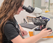 Ingresso nas universidades estaduais: Prova Paraná Mais será nos dias 12 e 13