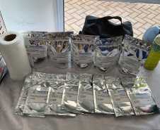 Arranjo de pesquisa sobre erva-mate vai impulsionar inovações na cadeia produtiva