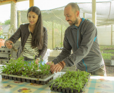 Paraná incentiva pesquisa com bolsas que cobrem trajetória acadêmica e profissional