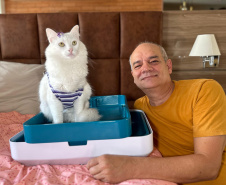 Com crescimento superior a 500% em sete anos, Paraná passa da marca de 2 mil startups