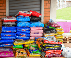 Unicentro lidera atendimento a animais silvestres vítimas do tornado no Paraná