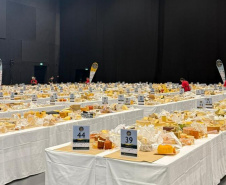 Queijos paranaenses batem produtos de 50 países e são premiados no Mundial da Suíça