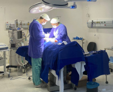 Paraná acelera cirurgias e consultas com 83 mutirões e atendimentos ampliados