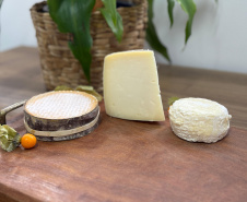 Queijos paranaenses batem produtos de 50 países e são premiados no Mundial da Suíça