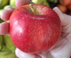 Estado adquiriu 5 mil toneladas de alimentos orgânicos para a merenda escolar em 2025