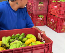 Estado adquiriu 5 mil toneladas de alimentos orgânicos para a merenda escolar em 2025