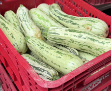 Estado adquiriu 5 mil toneladas de alimentos orgânicos para a merenda escolar em 2025