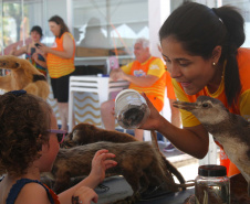 Universidades ampliam presença no Verão Maior Paraná com ações educativas no Litoral