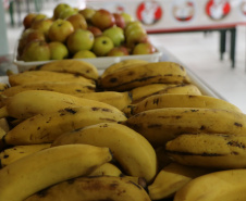 Estado adquiriu 5 mil toneladas de alimentos orgânicos para a merenda escolar em 2025