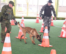 PMPR recebe kits científicos de pesquisadores para aumentar eficácia do treinamento de cães