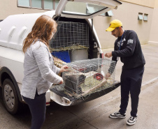 IAT assina convênio com a Prefeitura de Curitiba e amplia atendimento à fauna silvestre