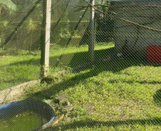 IAT reforça pronto atendimento à fauna silvestre do Litoral para a temporada de verão