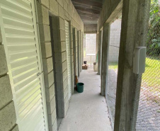 IAT reforça pronto atendimento à fauna silvestre do Litoral para a temporada de verão