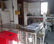 IAT reforça pronto atendimento à fauna silvestre do Litoral para a temporada de verão