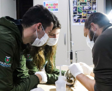 IAT reforça pronto atendimento à fauna silvestre do Litoral para a temporada de verão
