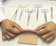 Incubada pelo Tecpar, startup produz pele artificial de animais para simular cirurgias veterinárias