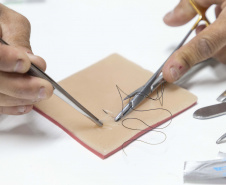 Incubada pelo Tecpar, startup produz pele artificial de animais para simular cirurgias veterinárias