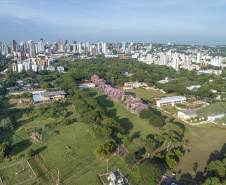 UEM divulga lista de aprovados no Vestibular de Verão e Etapa 3 do PAS