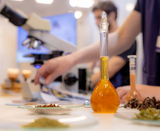 Decreto moderniza e amplia prêmio estadual na área de Ciência e Tecnologia