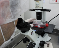 Com investimentos do Estado, Tecpar amplia atuação na indústria nacional da saúde