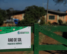 Paraná inicia censo inédito para mapear perfil da agricultura orgânica no Estado