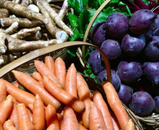 Paraná inicia censo inédito para mapear perfil da agricultura orgânica no Estado