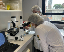 Programas de pós-graduação com nota máxima crescem quase 80% no Paraná