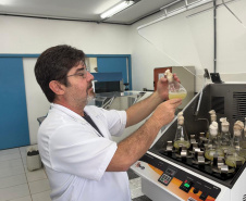 Programas de pós-graduação com nota máxima crescem quase 80% no Paraná