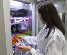 Parceria entre Tecpar e UFPR fortalece processo de produção de vacina antirrábica veterinária