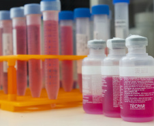 Parceria entre Tecpar e UFPR fortalece processo de produção de vacina antirrábica veterinária