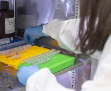 Parceria entre Tecpar e UFPR fortalece processo de produção de vacina antirrábica veterinária