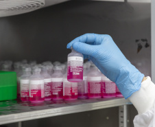 Parceria entre Tecpar e UFPR fortalece processo de produção de vacina antirrábica veterinária