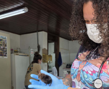 Rede de apoio: atendimento à fauna silvestre aumenta 61,3% em um ano no Paraná