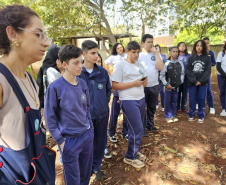 Projeto ambiental de Clube de Ciências de colégio cívico-militar ajuda rearborização de Rolândia