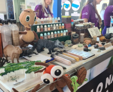 Público do Show Rural pode conferir inovações para o agro criadas por pesquisadores