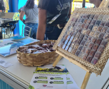 Público do Show Rural pode conferir inovações para o agro criadas por pesquisadores