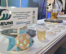 Público do Show Rural pode conferir inovações para o agro criadas por pesquisadores