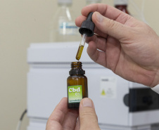 Plataforma do Tecpar vai apoiar profissionais com dados de produtos com cannabis medicinal