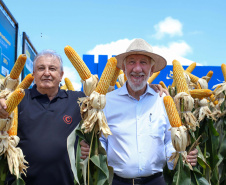 Estado anuncia R$ 16 milhões para novo prédio de pesquisa de alimentos e reformas na Unioeste
