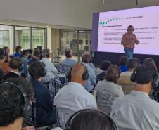 Novos programas do Estado impulsionam conexões e internacionalizacão da ciência