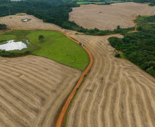 R$ 353 milhões: Estado libera recursos para estradas rurais e maquinários em Guarapuava e região